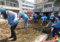 晨光社區志愿者助力創城“百日攻堅戰”