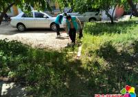 創城腳步不停歇——清理白色垃圾 為創城助力