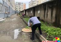 周末“不打烊”，“藍馬甲” 創城行動暖民心
