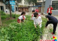 民安社區攜手新興小學開展整理花壇活動