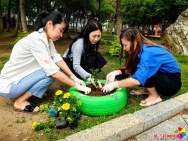 廢舊輪胎變成大花盆 扮靚樓前空地墻角